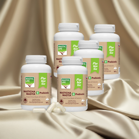 Masticha+ Prebiotic Economy dlhodobá masticha terapia (800 kapsúl) Masticlife