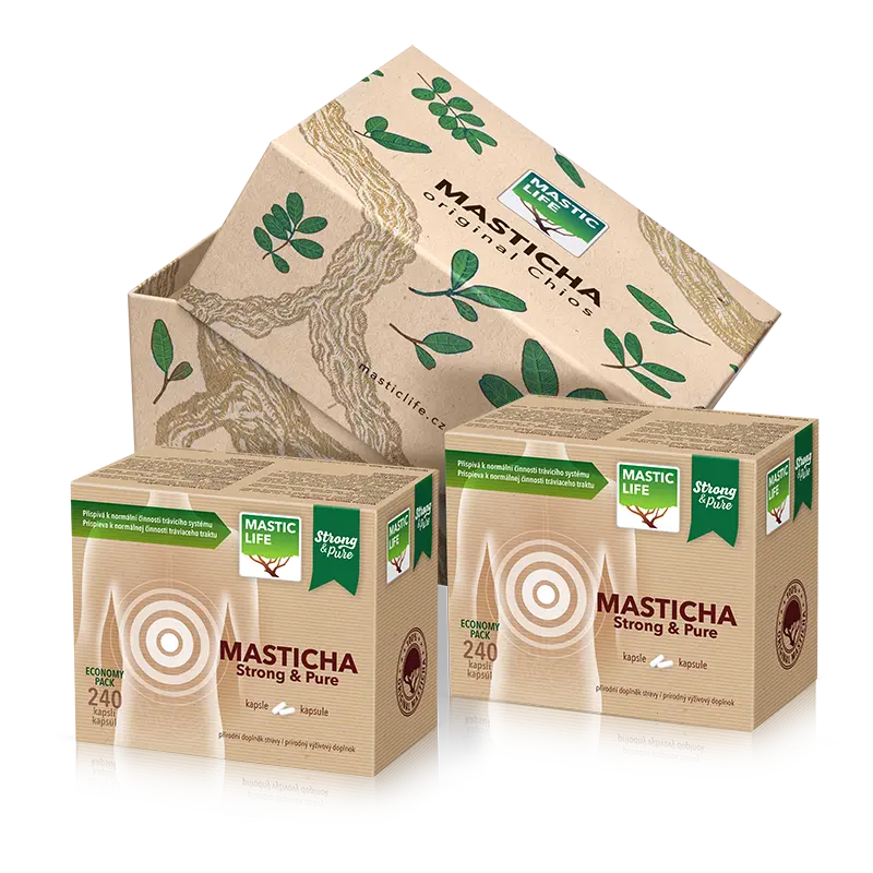 Masticha Strong&Pure Economy Double Pack (480 kapsúl) Masticlife box