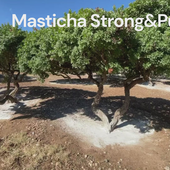 Masticha Strong&Pure: čo obsahuje, ako účinkuje a ako ju užívať video